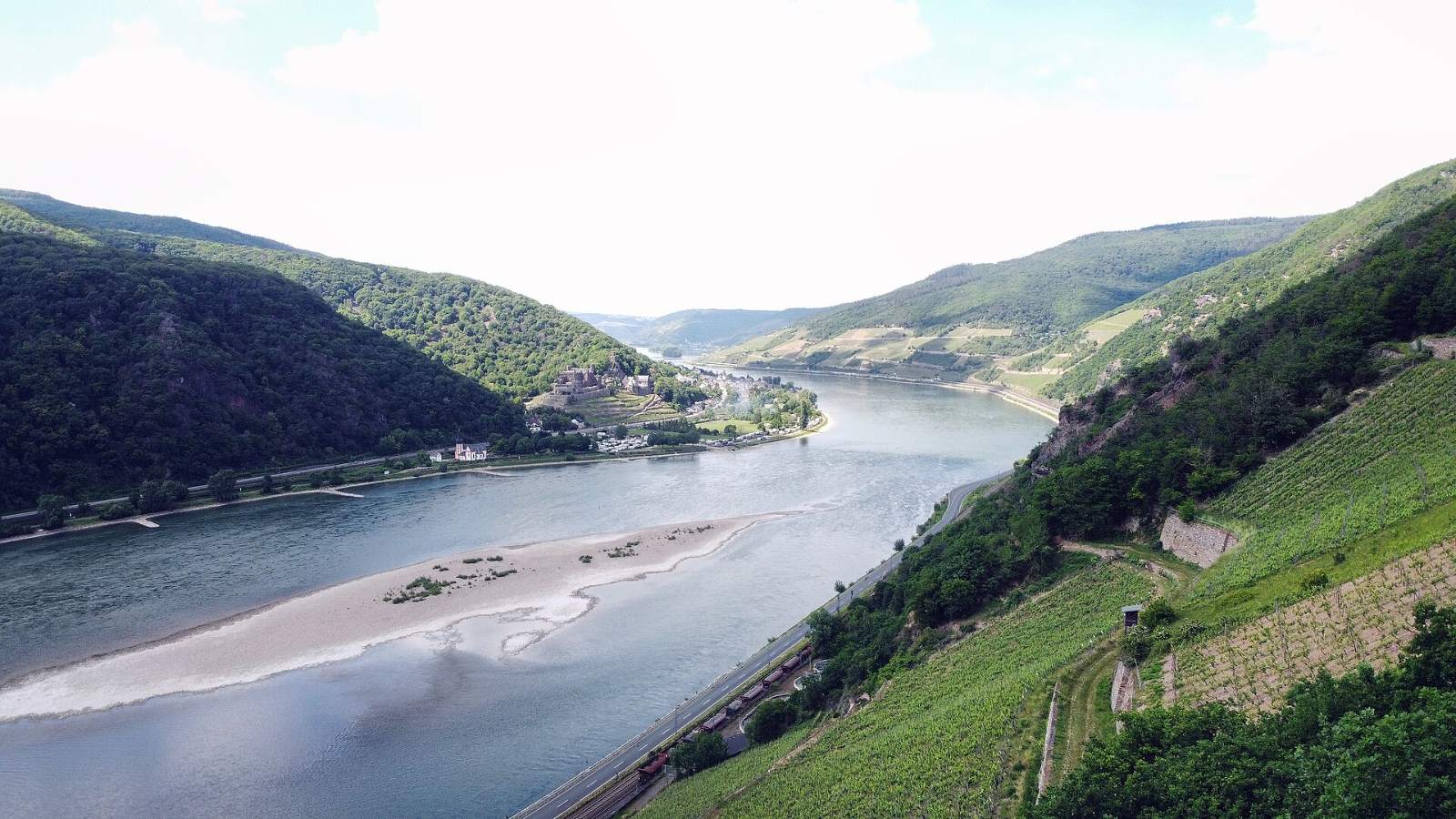 Die Rheinschleife bei Assmannshausen von den Weinbergen aus