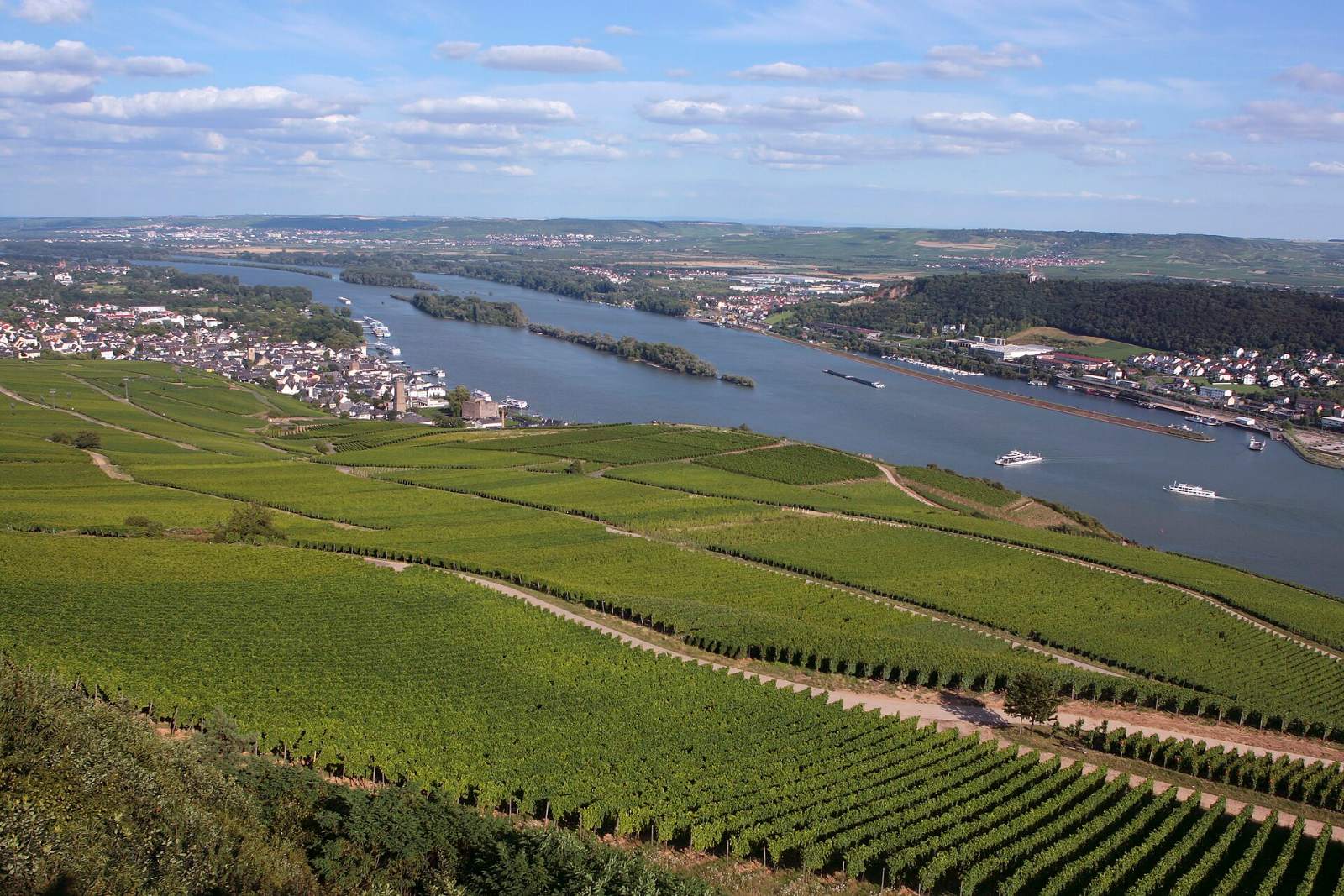 Weinberge über dem Rhein bei Rüdesheim, unten der Mäuseturm